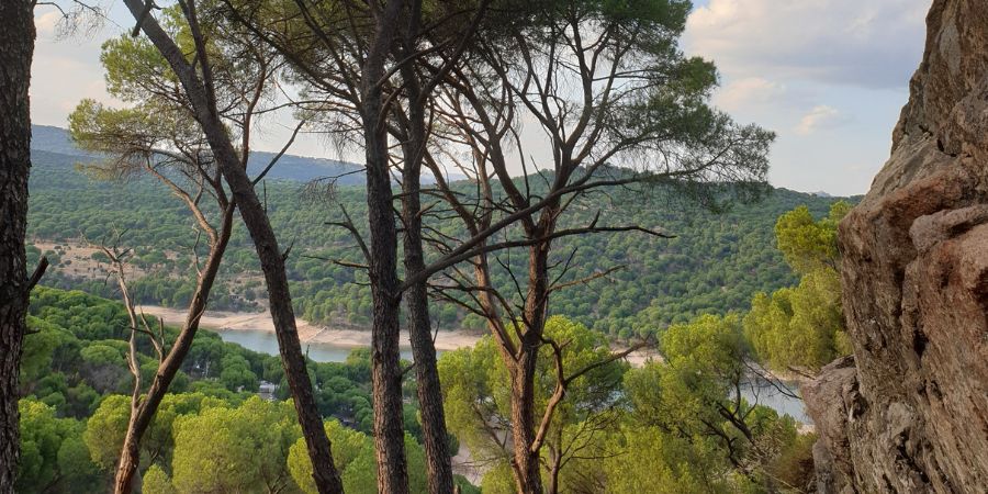El Bosque Encantado Madrid 2023: horario, novedades y entradas